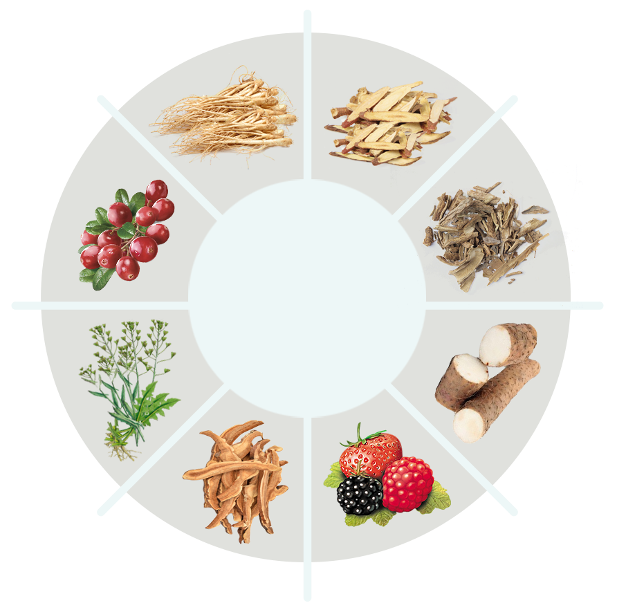 VisiVra ingredient circle