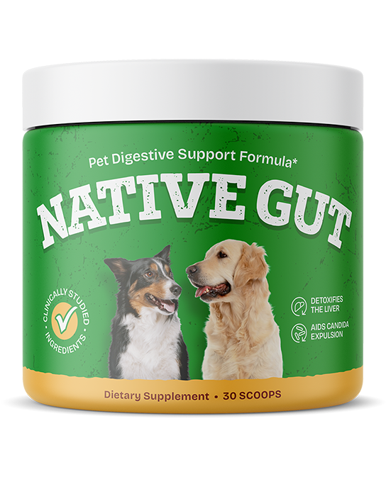 NativeGut dog probiotic supplement